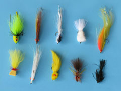 The 10 Best Flies