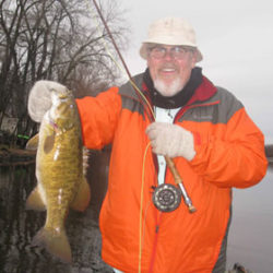 Winter Smallie on the Mangrove