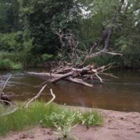 These waters don't look like classic smallmouth bass habitat , so most anglers bypass them, leaving the bronze boys for you