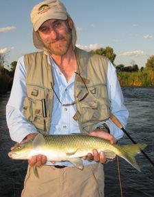 A Vaal River Yellowfish