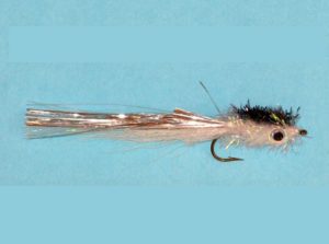 Murdich Minnow