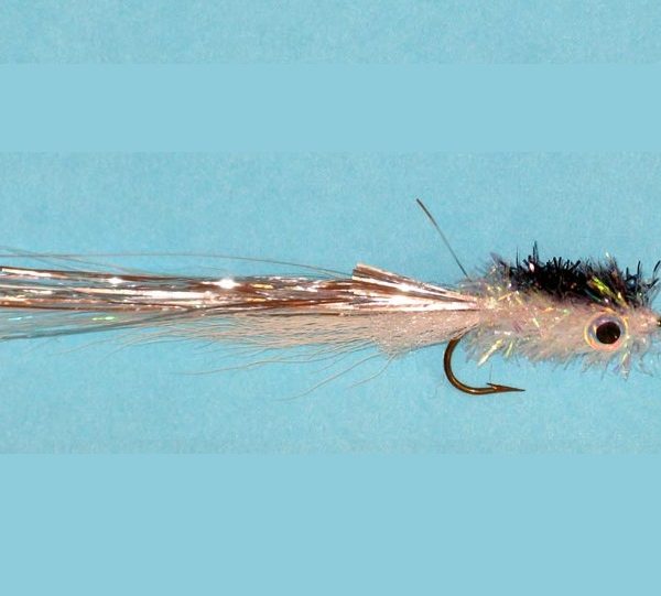 Murdich Minnow