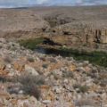 Smallmouth river in the Karo Desert