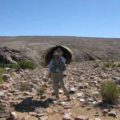 Looking for water in the Karo Desert