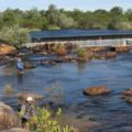 Dam fishing on the Doring River