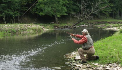 Small stream fishing scene