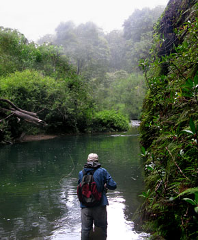 Tim Holschlag fishing a big pool beside a wall of vegetation